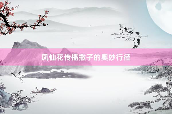 凤仙花传播撒子的奥妙行径